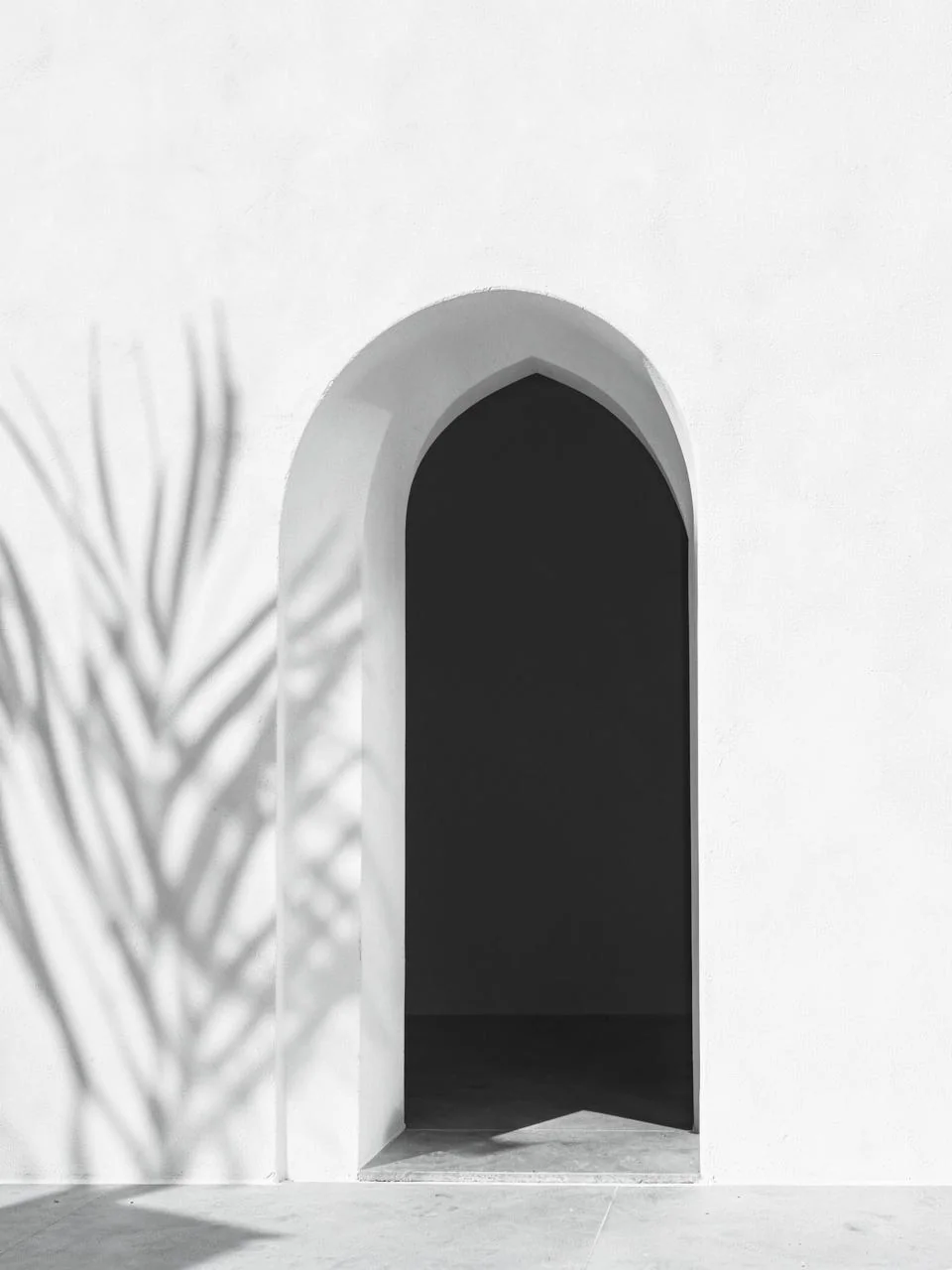 Arche marocaine épurée, ombre de palmier sur mur blanc