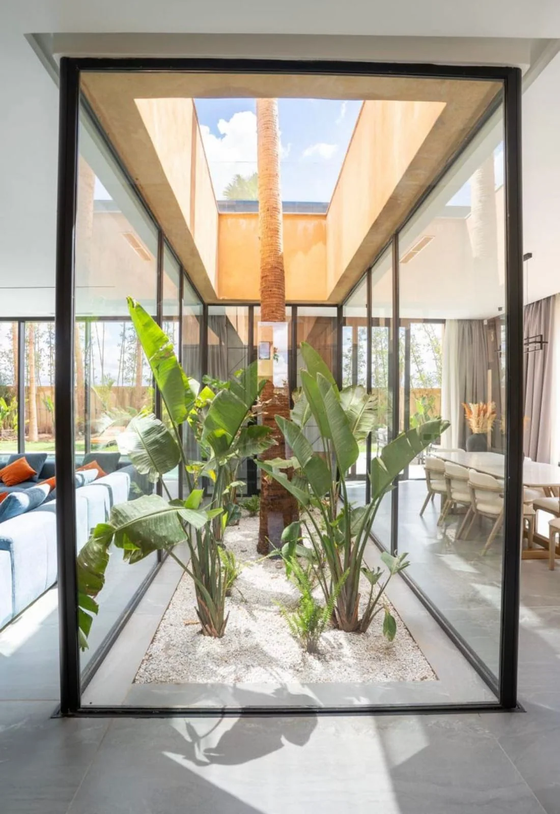Patio intérieur et palmier